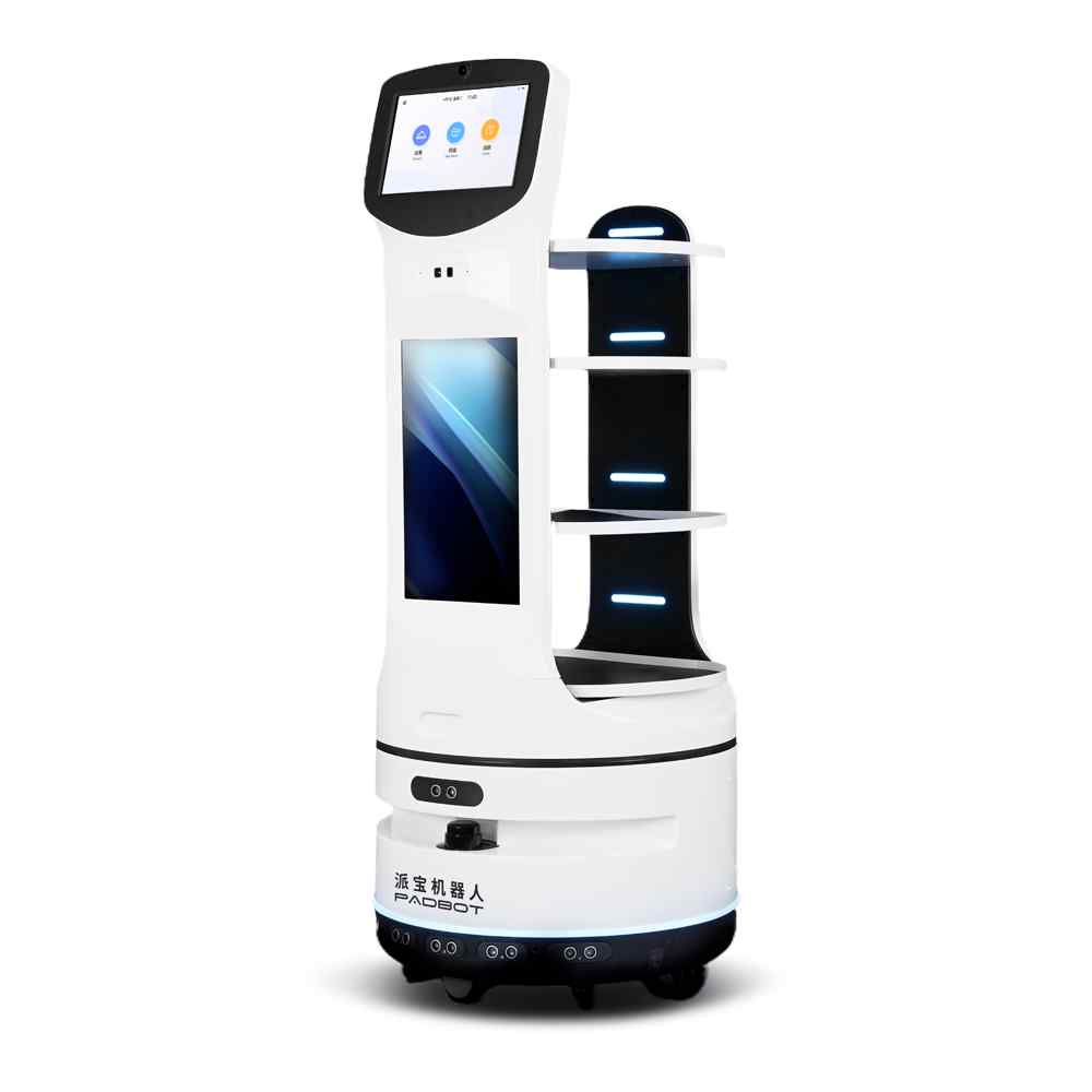 PadBot Robotics | Smart Commercial Robots for Security & Service